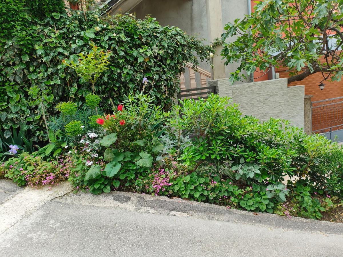 Studio Apartman Rea Kotor Buitenkant foto